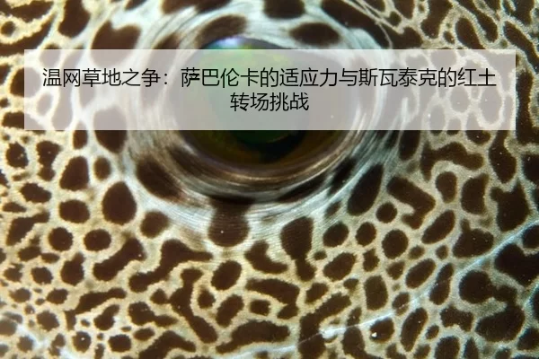 温网草地之争：萨巴伦卡的适应力与斯瓦泰克的红土转场挑战