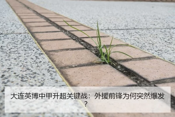 大连英博中甲升超关键战：外援前锋为何突然爆发？