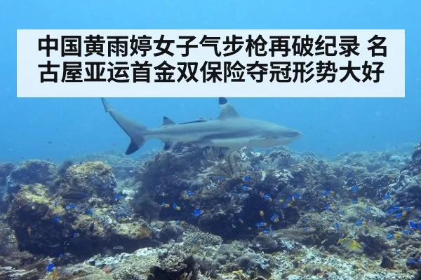 中国黄雨婷女子气步枪再破纪录 名古屋亚运首金双保险夺冠形势大好
